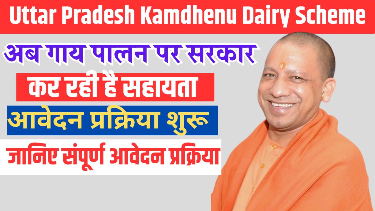 Uttar Pradesh Kamdhenu Dairy Scheme कामधेनु डेयरी योजना का फायदा उठाकर चमकाए अपना रोजगार 